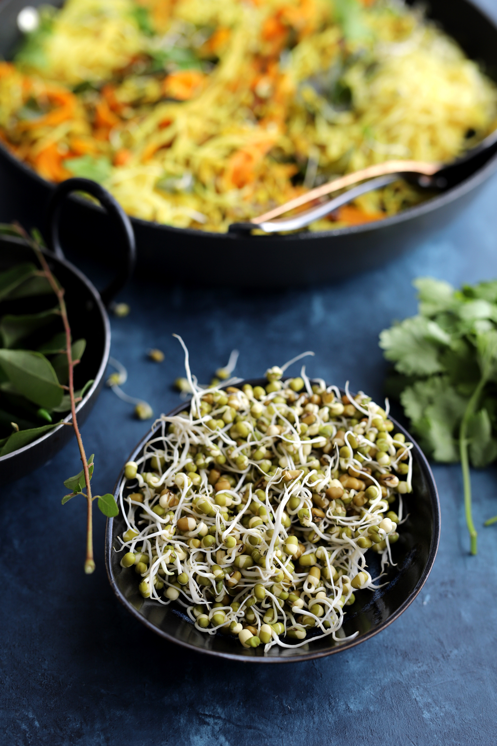 Sprouted Mung Bean Breakfast Noodles