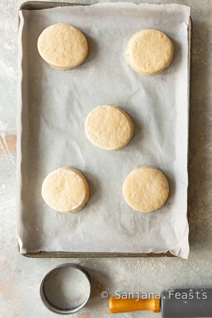 Circles of cut doughnut dough on a tray